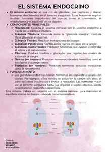 Fichas de color magenta para estudiar 2