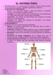 Fichas de color magenta para estudiar 3