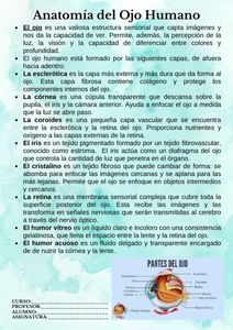 Fichas de color turquesa para estudiar 1