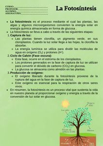 Fichas de colores secundarios para estudiar 1