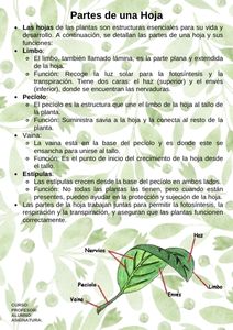 Fichas de colores secundarios para estudiar 3