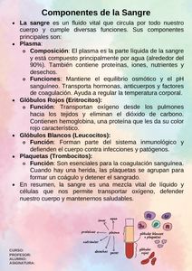 Fichas de colores terciarios para estudiar 3