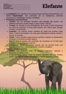 Fichas de elefantes para estudiar 1