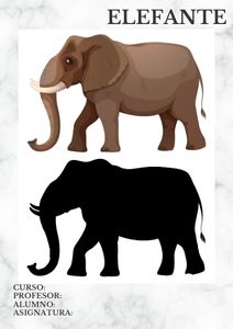 Fichas de elefantes para imprimir 1