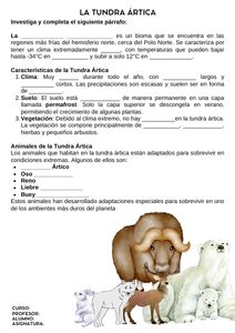 Fichas de zorros para escribir 1