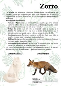 Fichas de zorros para estudiar 1