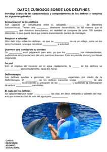 Fichas de delfines para escribir 1