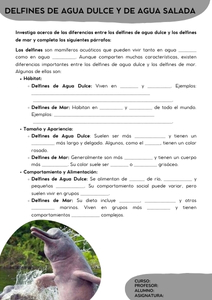 Fichas de delfines para escribir 2