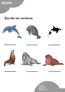 Fichas de delfines para escribir 3