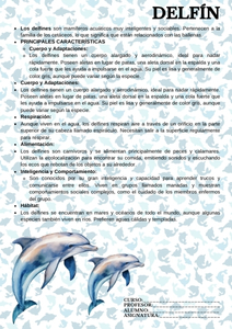 Fichas de delfines para estudiar 1
