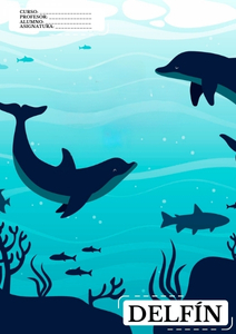 Fichas de delfines para imprimir 1