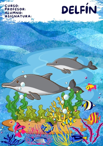 Fichas de delfines para imprimir 2