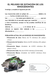 Fichas de rinocerontes para escribir 1