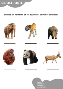 Fichas de rinocerontes para escribir 3