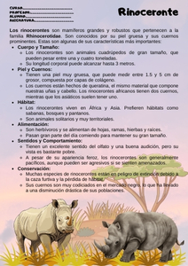 Fichas de rinocerontes para estudiar 1