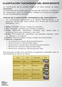 Fichas de rinocerontes para estudiar 2