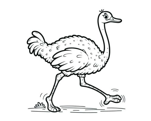 Fichas de avestruces para colorear 1