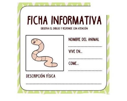 Fichas de serpientes para estudiar 1