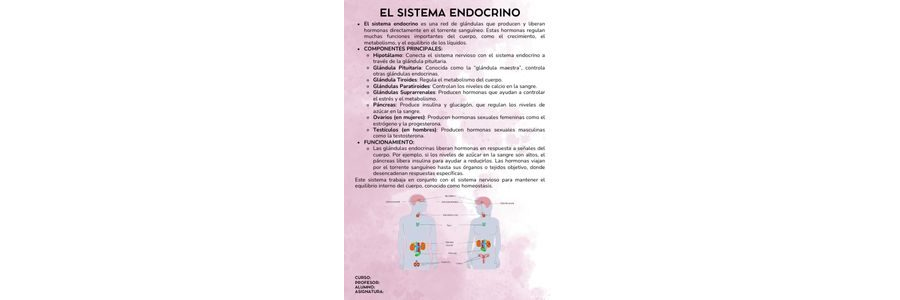 Fichas de color magenta para estudiar 2