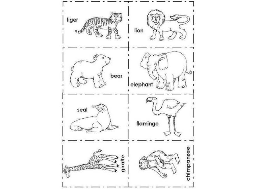 Cuadernillos de ejercicios para imprimir 3