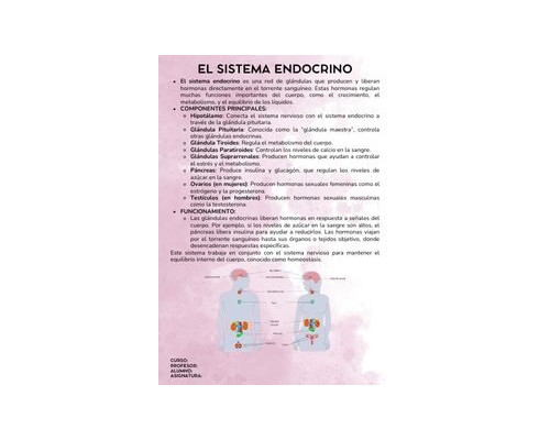 Fichas de color magenta para estudiar 2