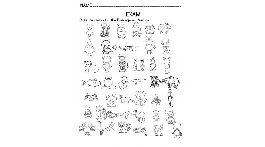 Mejora del aprendizaje de inglés en niños de primaria 3