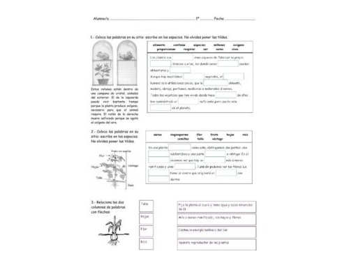 Fichas de Plantas Ornamentales