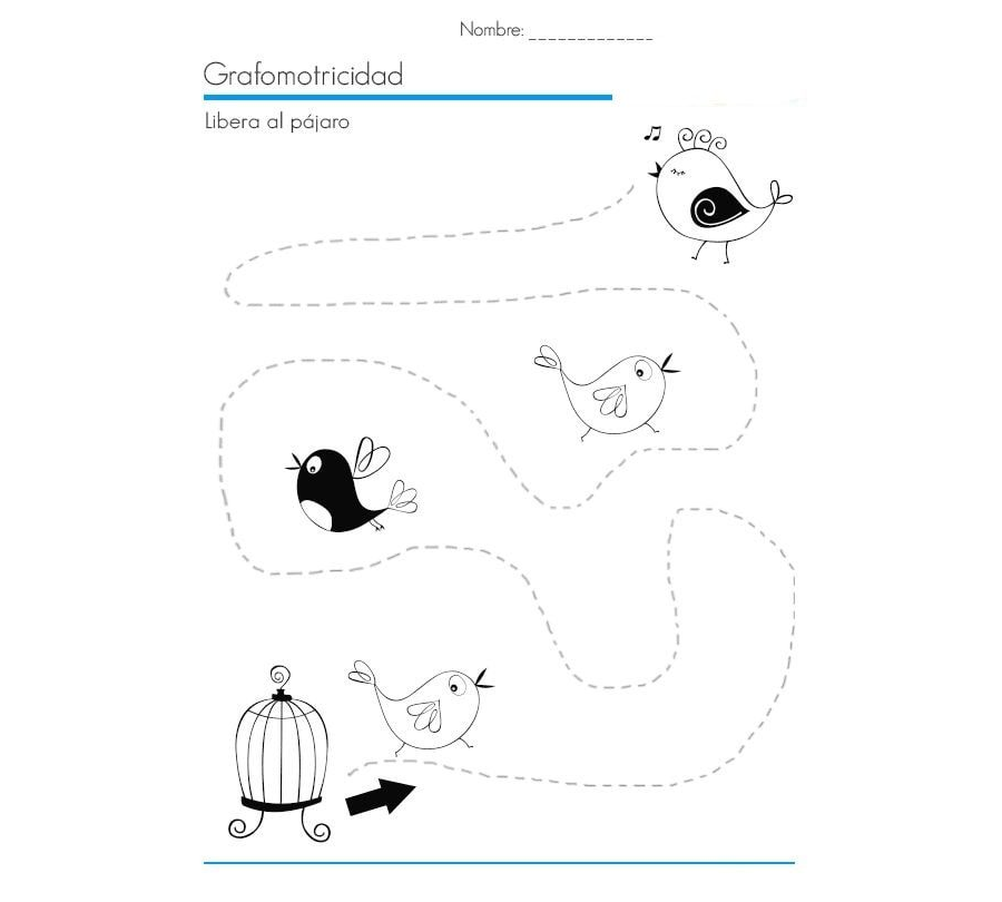 Fichas de pájaros para escribir 3