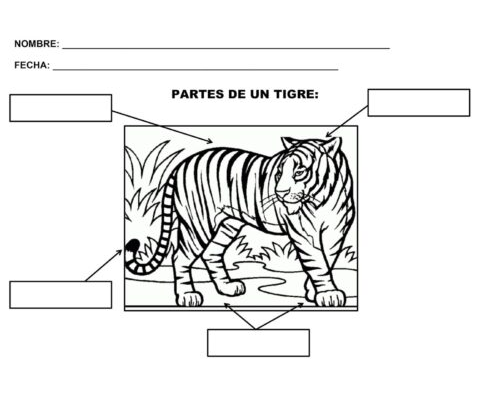 Fichas de tigres para escribir 2