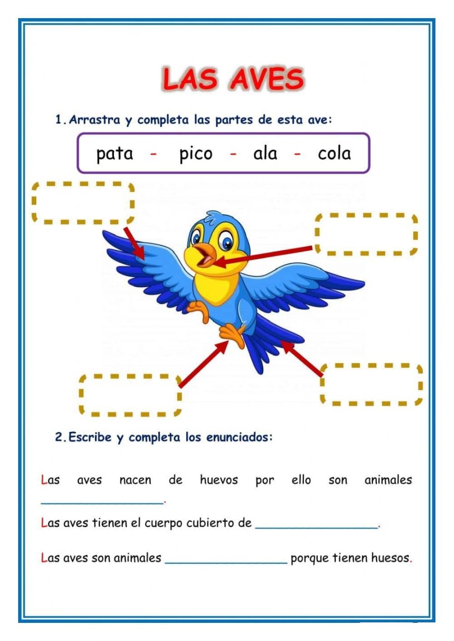 Fichas de pájaros para imprimir 2