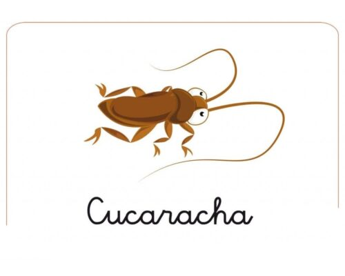 Fichas de cucarachas para imprimir 1