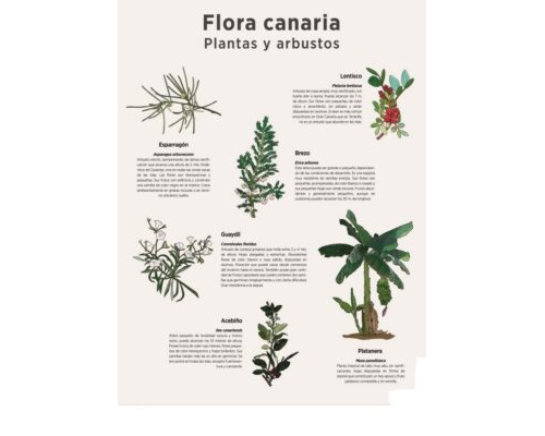 Métodos de identificación de especies 1