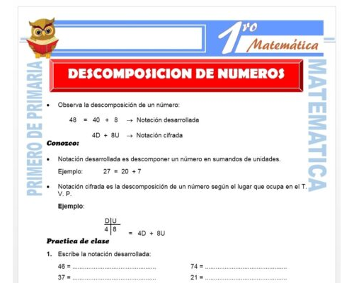 Concepto de descomposición de números 3