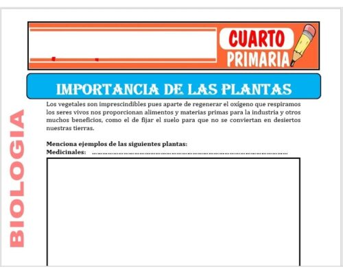 Ventajas de utilizar fichas para el cuidado de plantas 2
