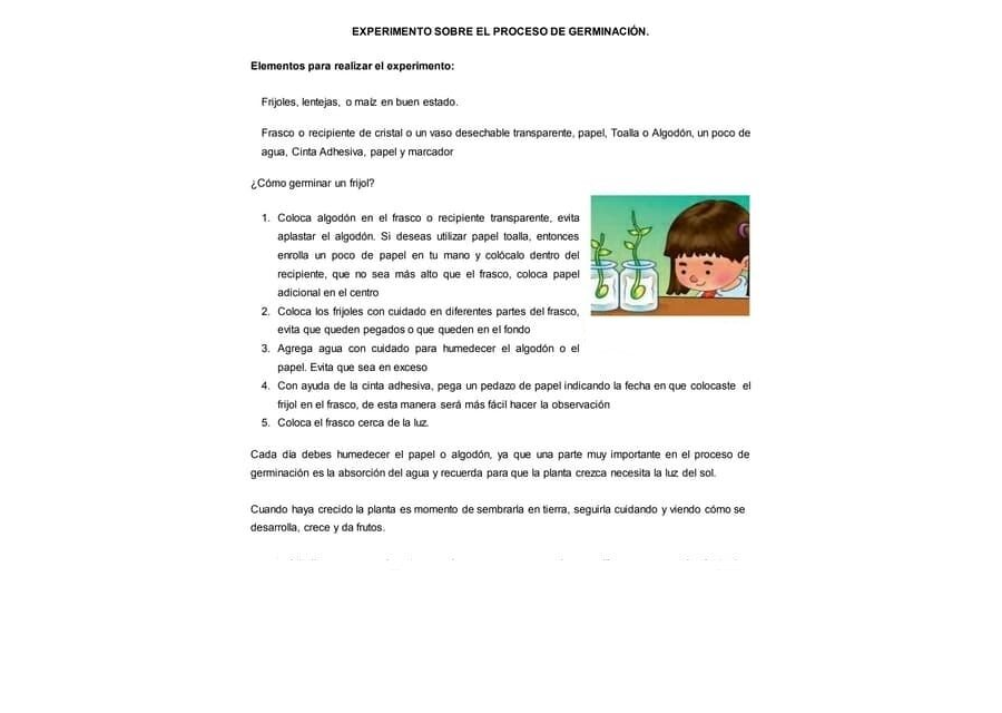 Actividades de la ficha de germinacion de una planta 2