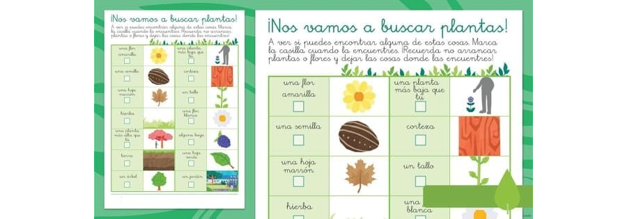 Dónde puedo encontrar fichas de plantas ornamentales 2