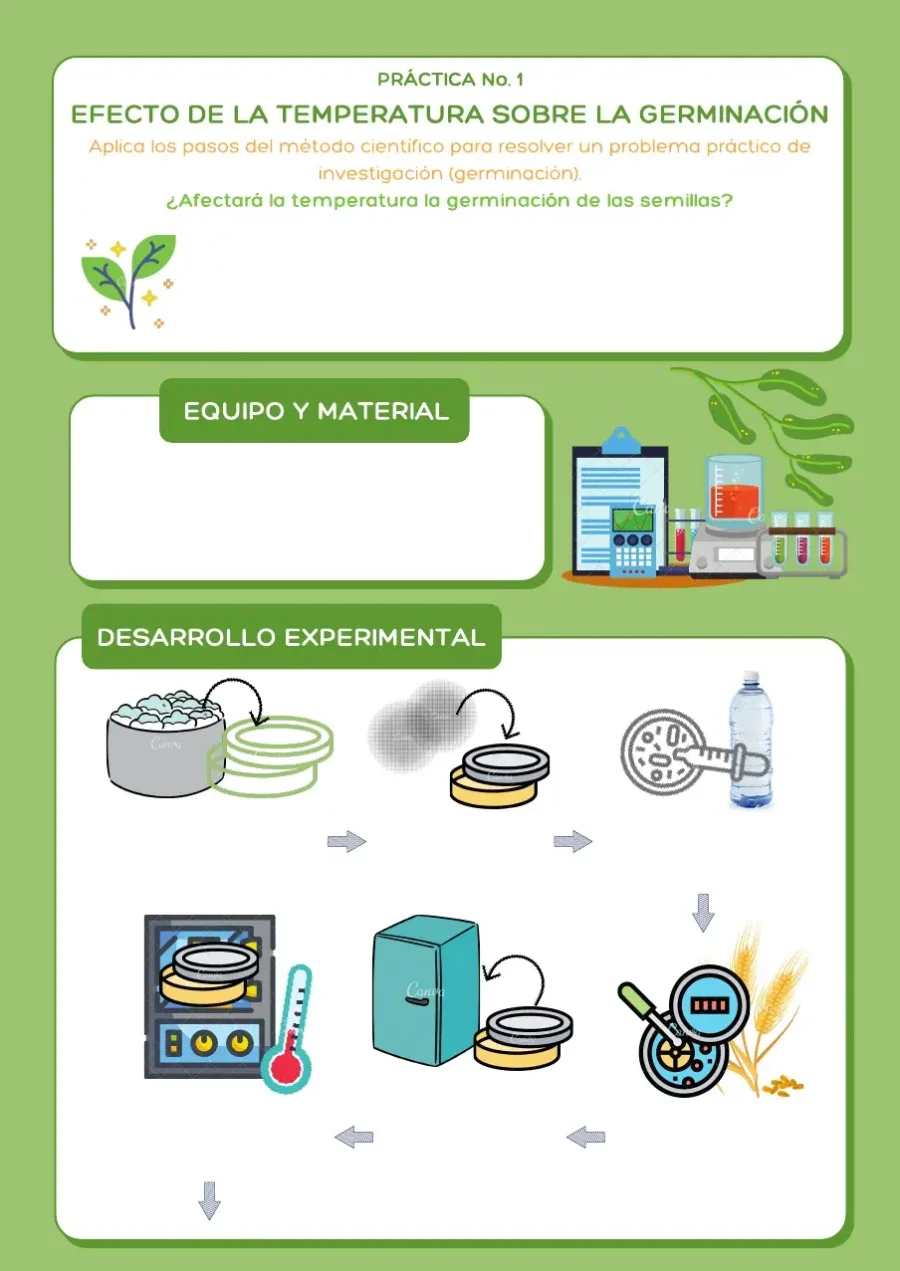 La temperatura adecuada para una germinación exitosa 2