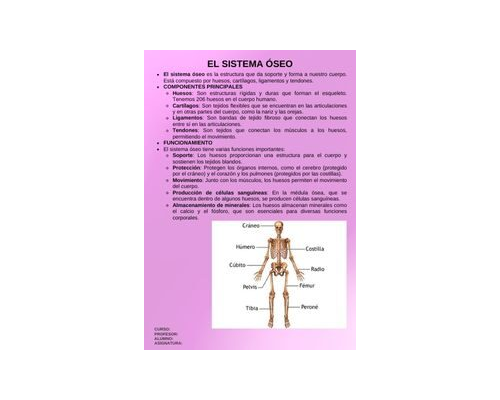Fichas de color magenta para estudiar 3