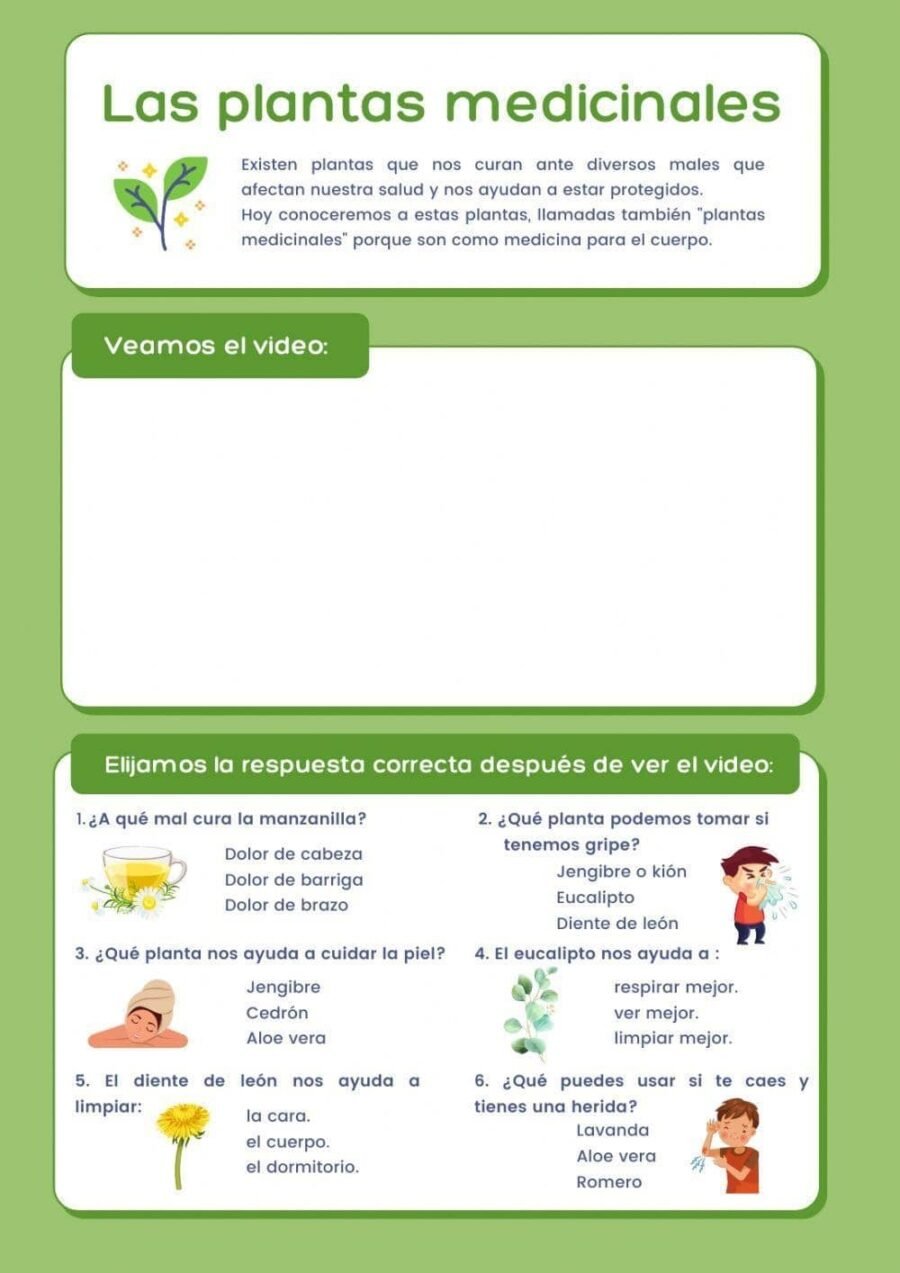 Propiedades curativas de las plantas 2