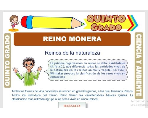 Actividades prácticas y experimentos para fomentar la participación de los alumnos 2