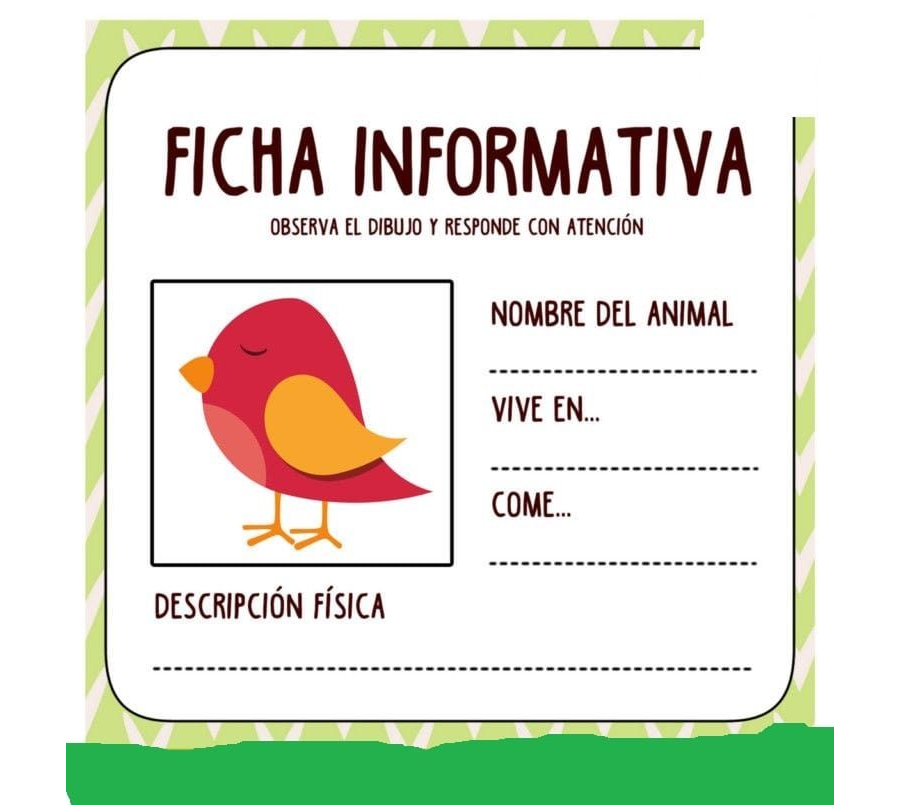 Fichas de pájaros para escribir 2