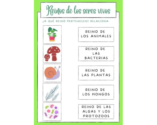 Juegos y actividades interactivas para aprender sobre la naturaleza 2