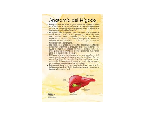 Fichas de color amarillo para estudiar 2