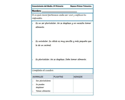 fichas de naturales 5 primaria 2