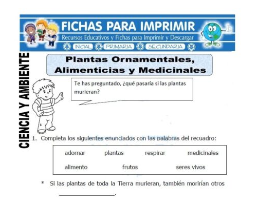 Ayuda en la selección adecuada de plantas ornamentales 2