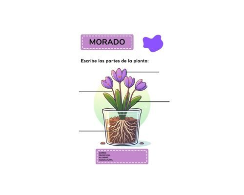 Fichas de color morado para escribir 2