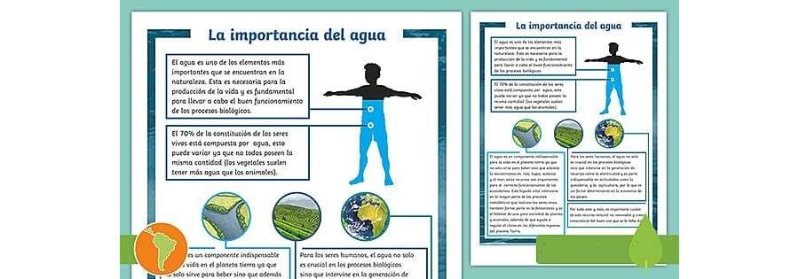 Importancia del agua y la humedad en la germinación 1