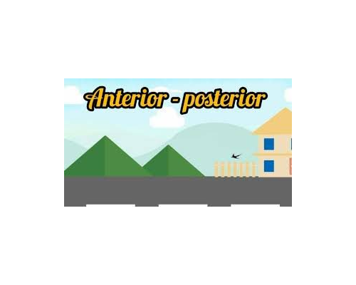 Definición de números anterior y posterior 3