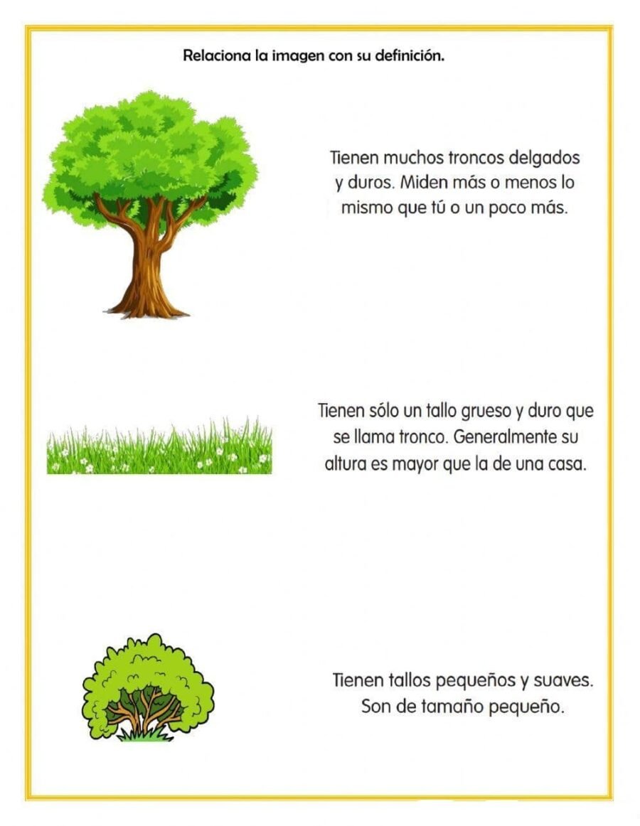 Árboles, palmeras, arbustos y trepadoras 2