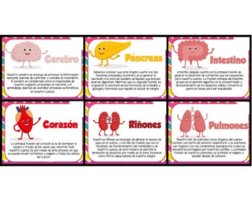 Uso de las fichas de naturales 4º Primaria como apoyo en el aprendizaje 3